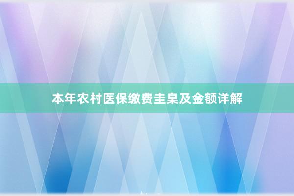本年农村医保缴费圭臬及金额详解