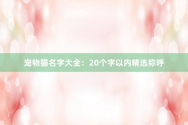 宠物猫名字大全：20个字以内精选称呼